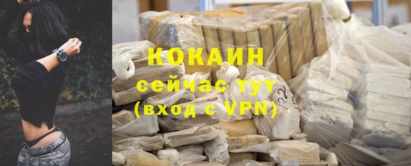 прущие грибы Волосово