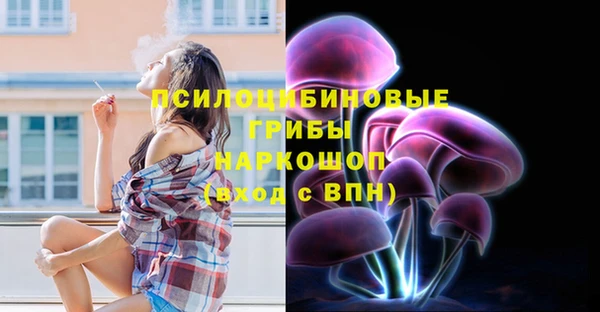 прущие грибы Волосово