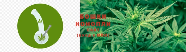 PSILOCYBIN Володарск