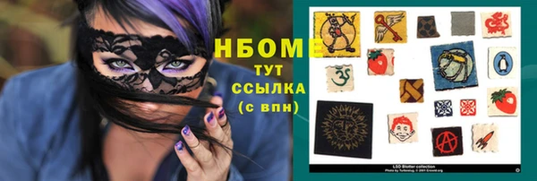 прущие грибы Волосово
