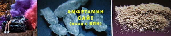 прущие грибы Волосово