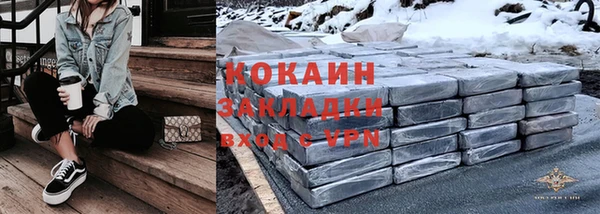 прущие грибы Волосово