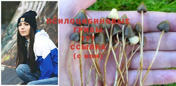 PSILOCYBIN Володарск