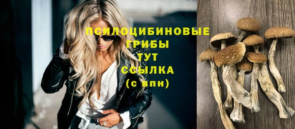 PSILOCYBIN Володарск