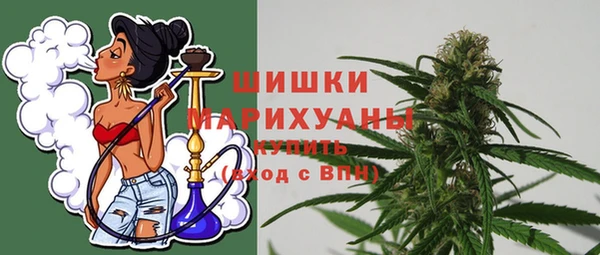 прущие грибы Волосово