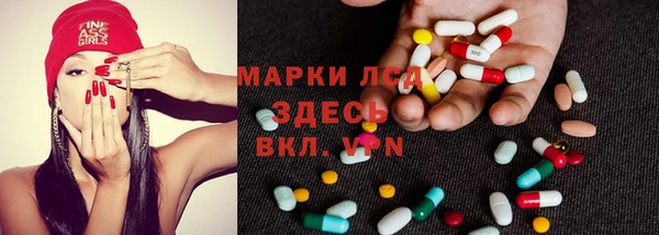 прущие грибы Волосово